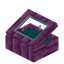 Cyan Pink Bioshroom Display Case