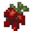 Wolfberries