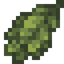 Wolfberry Leaves