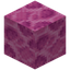 Brain Coral Block