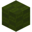 Blocky Green Wool
