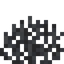 Dead Fire Coral Fan