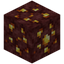 Nether Gold Nest