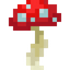 Button Red Mushroom