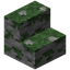 Mossy Stone Stairs