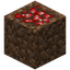 Adzuki Soil