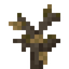 Dead Sapling