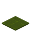 Stringed Green Carpet