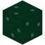 Lime Mushroom Block