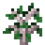 Balsa Sapling