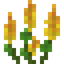 Small Yellow Lupine