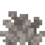 Dead Bubble Coral