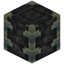 Reinforced Deepslate