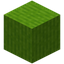 Barky Lime Wool