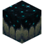 Sculk Catalyst