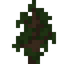 Rosewood Sapling