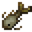 Pale Clubfish