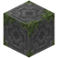 Loded Mossy Stone Bricks