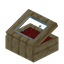 Red Palm Display Case