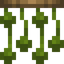 Green String Curtain