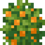 Wild Salmonberries