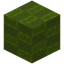 Blocky Green Wool