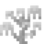 Ghost Coral