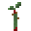 Red Banana Sapling