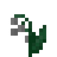 Lily of the Valley