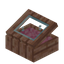Pink Aspen Display Case