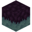 Poismoss