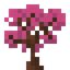 Ancient Sapling