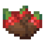 Chocolate Strawberries