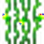 Green Glowcane Shoot
