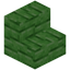 Green Bioshroom Stairs