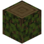 Overgrown Oak Log
