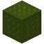Harsh Quilted Green Wool