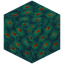 Eyed Warped Wart Block