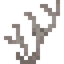 Dead Golden Coral