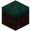 Reinforced Warped Nylium