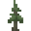 Fir Sapling