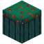 Mushroom Barrel