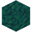 Patched Warped Wart Block