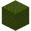 Ribbled Green Wool