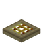 Golden Barred Birch Trapdoor