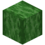 Stripped Green Bioshroom Hyphae