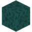 Wet Sponge