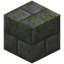 Mossy Stone Bricks