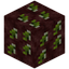 Nether Moldavite Ore