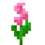 Mystical Pink Flower